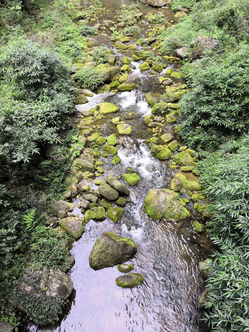 HI7TLvNgElIDvAELIIagqys_VJVtWW897ZNgyrmRoT7YteUlsHQdrgm3qL1lNDW2