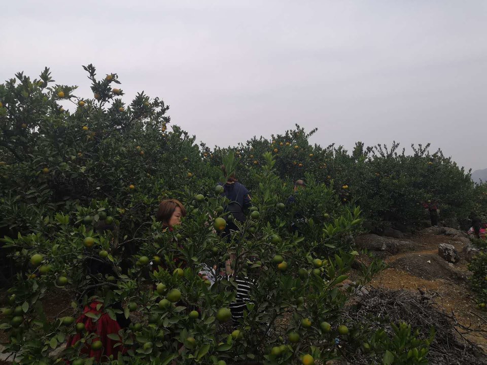 M8GomTnmumXnXQi7CWeyNkiutW0fkE9F2kK1teV52XmlGQuzZVxdHdB5ux3Gm_76