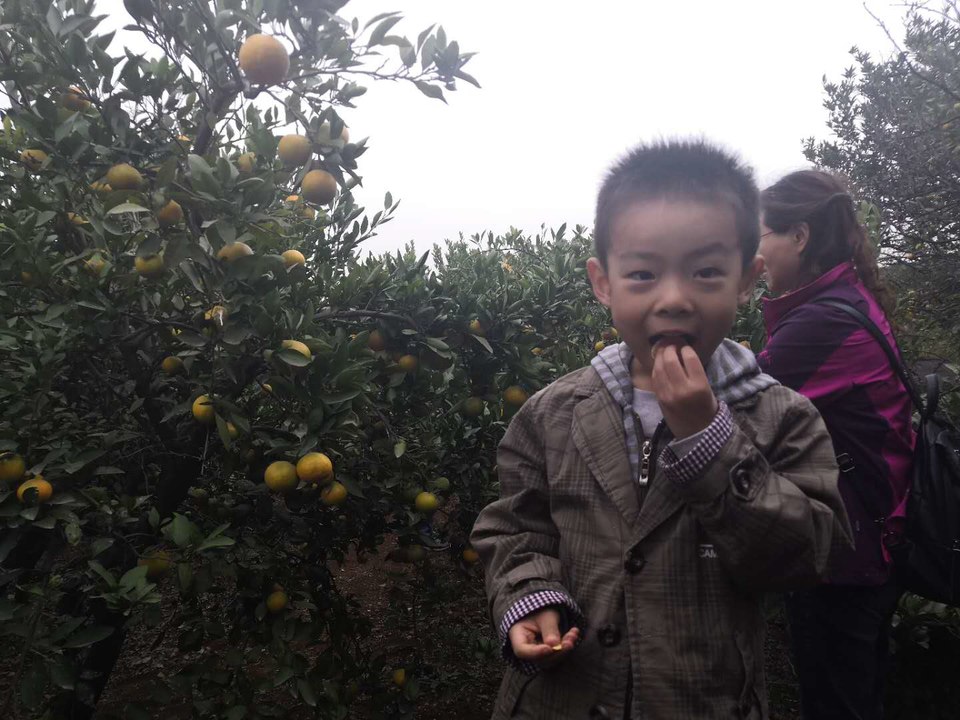 27F7RwVczFEijO1j2tL0JR-Wa6GHK2yr_2-7wpiBGX5QX_fINY1wXZgrkYOY5THH