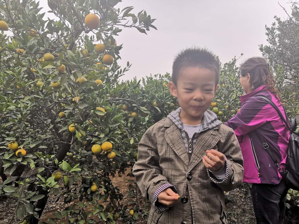 WQX0QMfU2_1YKq0YP30z2W53URPjt0JsZm0JWyIZzYoVsyauGpYelWYOKj9mqXF8