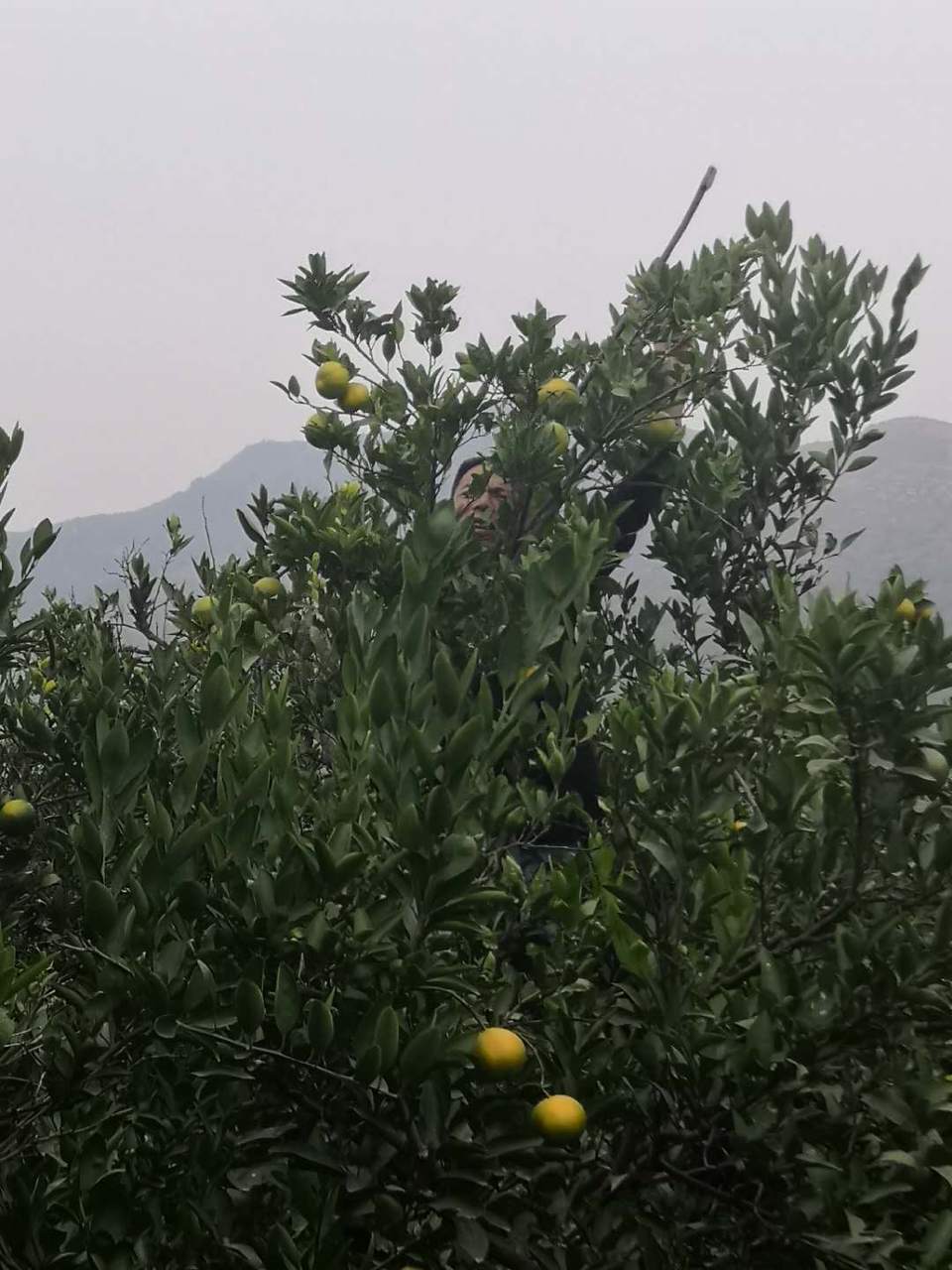 jrhHvrxbh8zLVWUkd1TzGdE_QO2ULFqwG5uLpcTUB0uImANe0-lJpyR8fsL1Aj6U