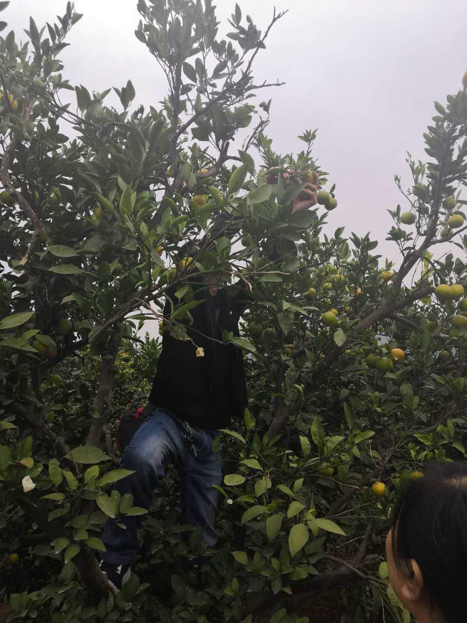 VFr0zpKOA_rZx8tYT4P_jmXacLb0GxnoOtyxQrbqRtzuocS3QjGZPml_xJg7i0WQ