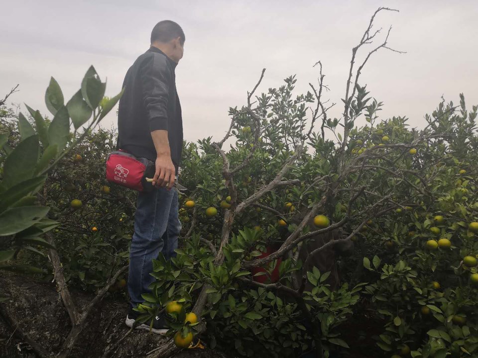 muRryLZtg8SLObR-0xCuL2gizw4K_lbnd788LKkxIP_sx8-ncRsajl4xjzZG9l4r