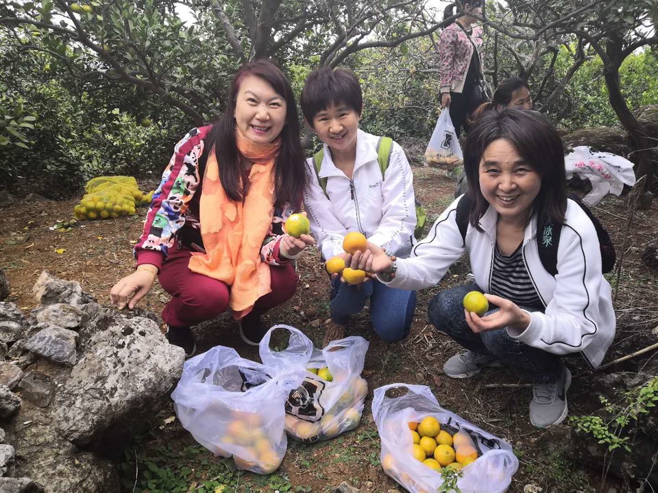 tG7gF0Uc7yuUL8TXE8D-DsEMA4-outZXlxwCofNIVUmCp_G-9sY5NeResf93tZ9W