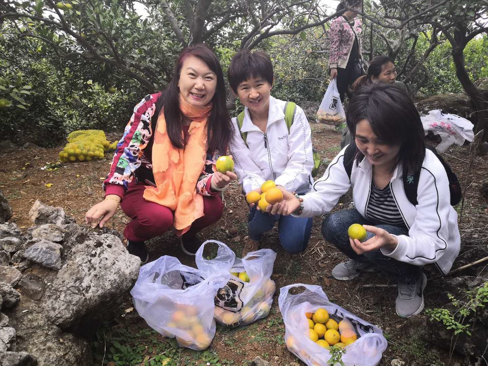 3LrCMojzLXXUmb9hZMtg8fa2Q2pZntyMsl4udBugGjG0kpUYnRLL9wRrG8u5NV4P