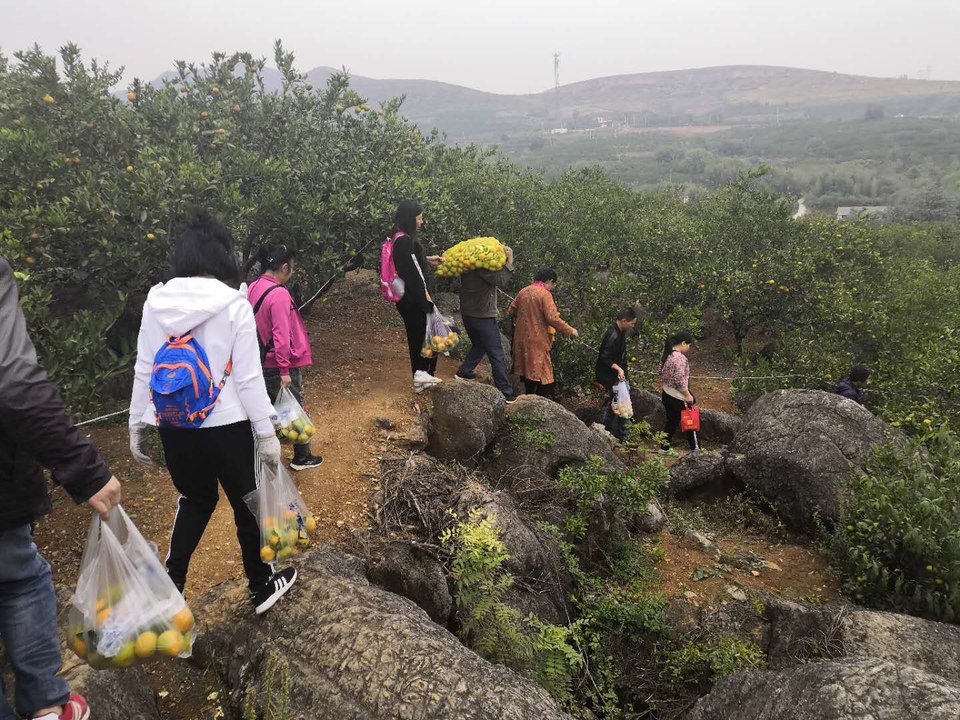 4xuDXb6cC8PdCicNfd__nueF5Wc4hItrbE3cUGy0JvpchnAEA-reJFWpTpQivAOd