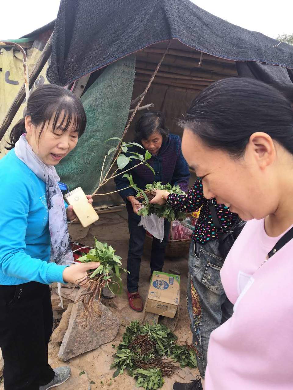 8SG7Dyo9mFSATI7tQufucUeOqDBCkGi__qLRhsmDAfR1dpxk3tM7rbUR-Q-pBmiz