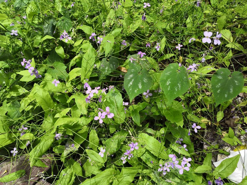 7QBsINYjgEgecpHIfUDgcFU-lT2t8h4j_wpAj1D3mr1W-NWq376zuGDkE6a2WmE7