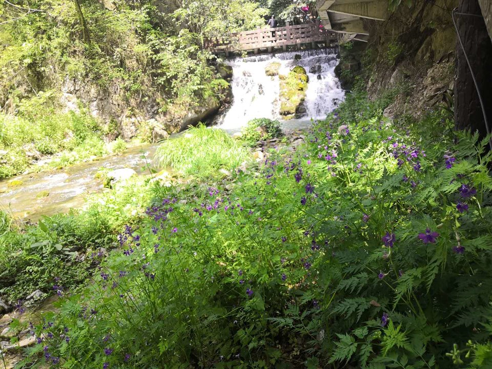 Wc3u5Wwgp5d3ULhjeSu3k5SGSPDnKNAINhU19_1WQAsweP-1z7LWg6zNBlk9tjHp