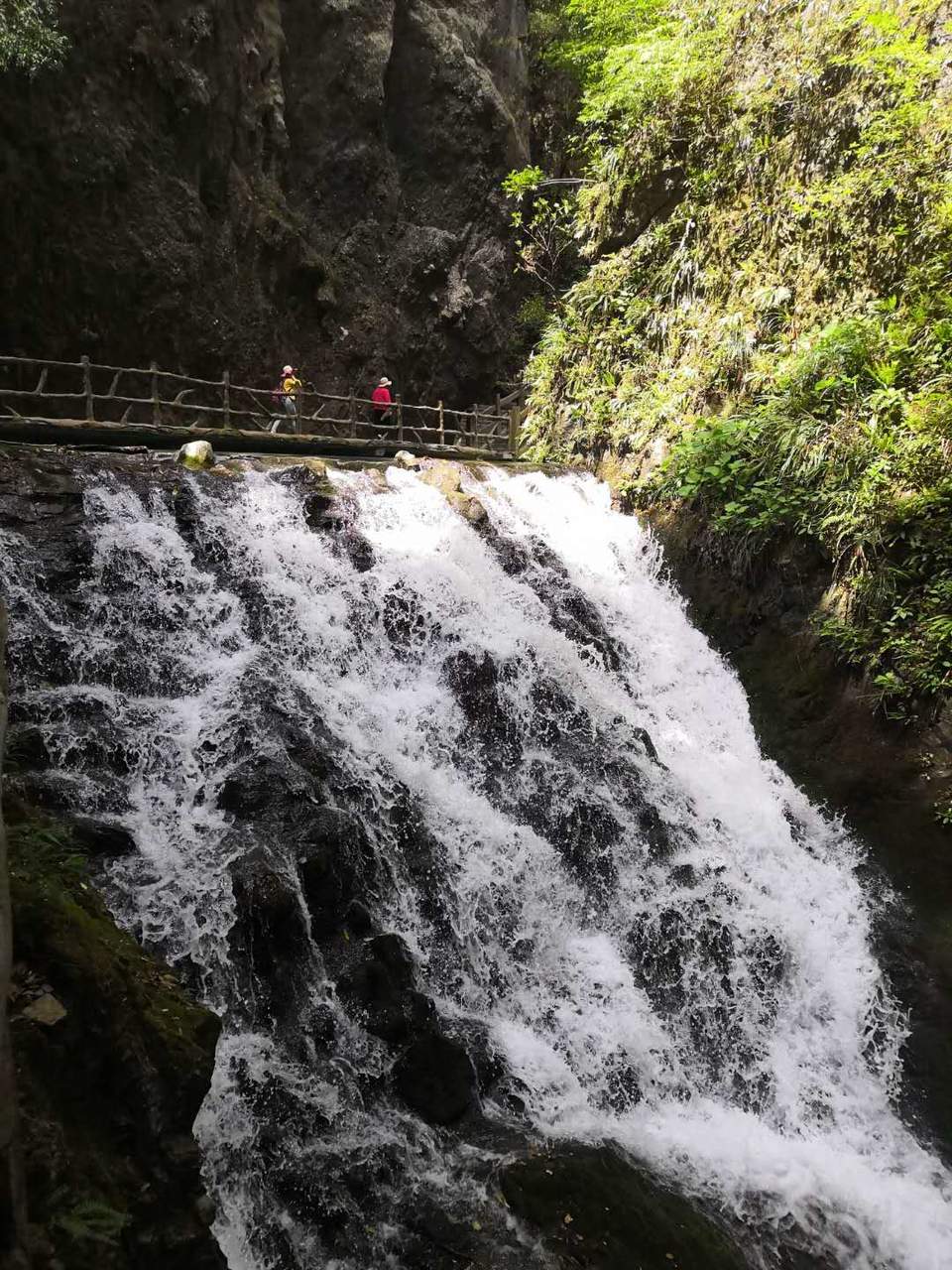 qrRWjtWT5Y3ZpLbauDEGePcKgfzKzDHe43TNaafYeQJH0iegBUEIh1w1yrSAc1kl