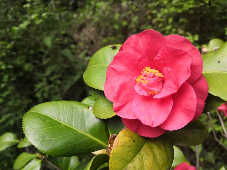 AC-L7Mg_8yxeBhcOD2wKpYnzTloULdPzdO2bxEPRtEyPujznI_HxSSQAEB3TZSdc