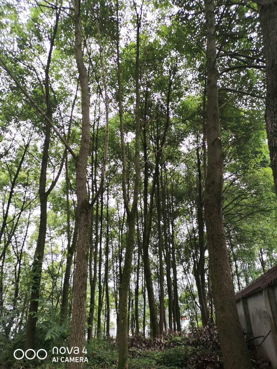 Qt159udmpWOdSTPo8xA6YZFX1Syrb4MuHvFIRti3uL4h1ZX3GKspj5KXFTeQICRJ