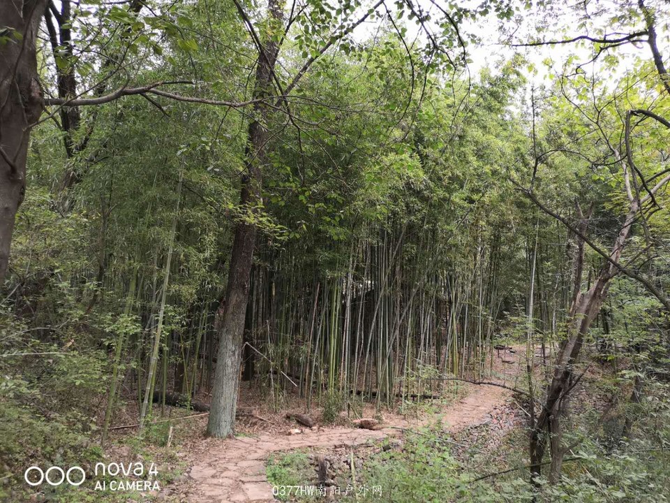 Mv68LgEzy6GeKifpuvCQBW2Z3i7B5NtTASd5bjxVpLqgJ2GBL6ym_0ghvX8CFRYm