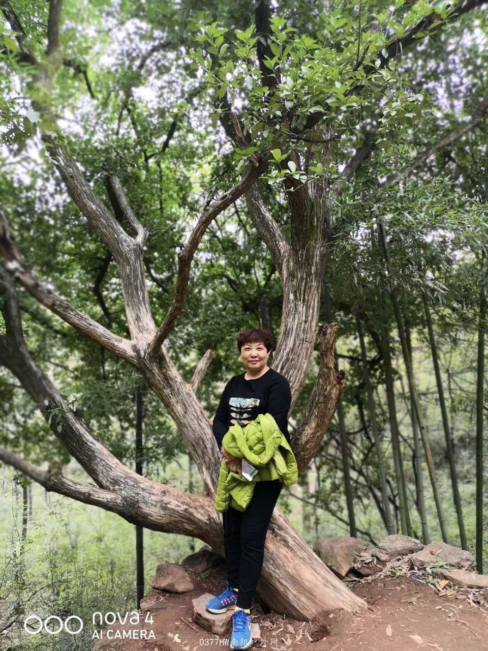 RB0Be0hXVpd-7070RE7HItpK945SOnGWYSlC36V4fOemFEuiTPf1F50JymhbP8ey