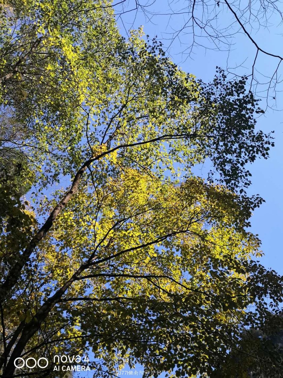 TLc8Qn82k7HXWZdnzNZ3mfYU8rf3Ut2fg-505hYgQQcUO_LRJcRU9EoFUwEeoXoG