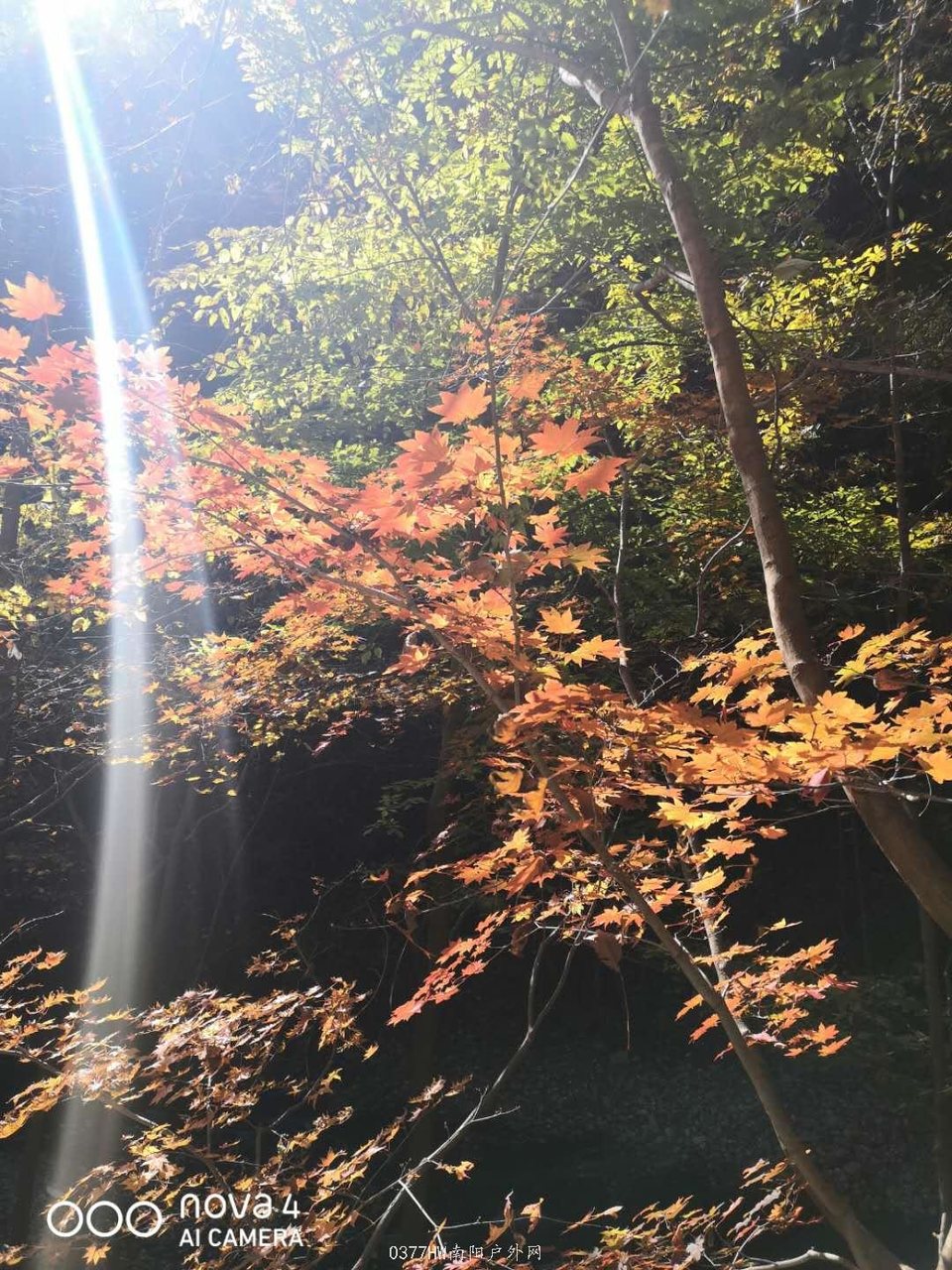 fcizKWfbbd4jA_fOC8CiZywwOA7LSm9c7M98Of0quiTR7Zoje_924qdYiJet2Yod