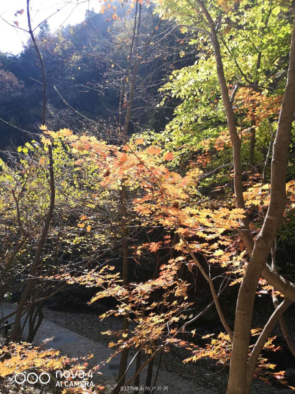 cTddHGE_w1uGgzxOc2QRCrX8cYoZHn8mSZLw_4d14OTD3ep_gpzV9rtP-dFyX2UZ