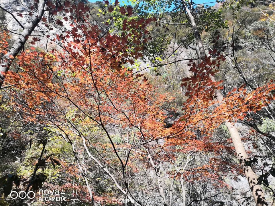 6yrfPnKgtHm0xOEsIlxs1lVW6ZgVDaKZx0fRLyDnogLx5CD48sxEyTfayslqCJw6