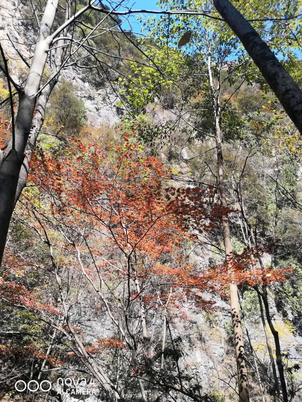 FYFKmR1uNWI3T86tGcGrsL4UBjW1C-_WpX81oA6cRdVYW4wpd4W_weLPyyR75lOF