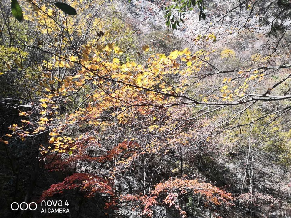 jP6ojbt6OznBB2MkDtFNTu4v-8SmXr-Tjfd0_12rcusHNfqmlRPCQgPA5yKBVTSk