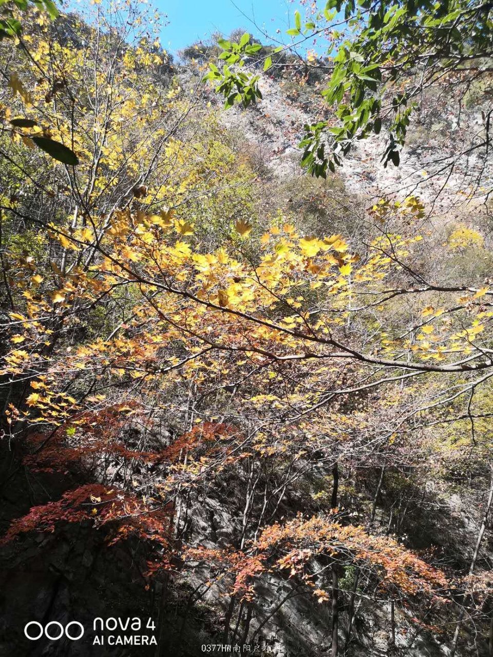 6AjNRHqWidmp5QQhlV9DI71MRCcHySIvFKocy-_eD4-wzfWnNDlZ8kMziCJj9V3m