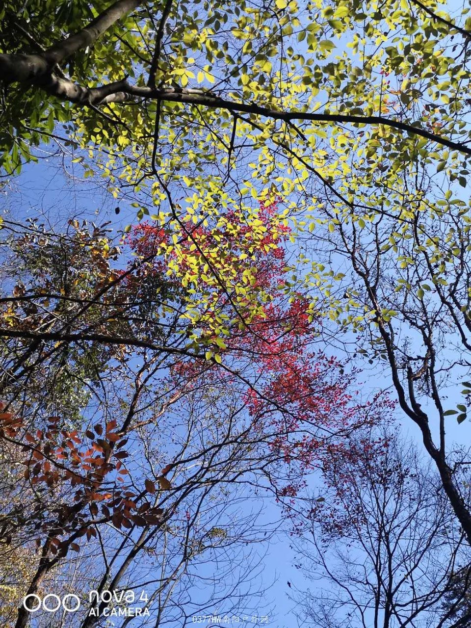 qfLezjHphiNO4NicLiIlAgprAPRhDv64OMz4xp5cS2lLSOg7TD6T0y8TjCEge363