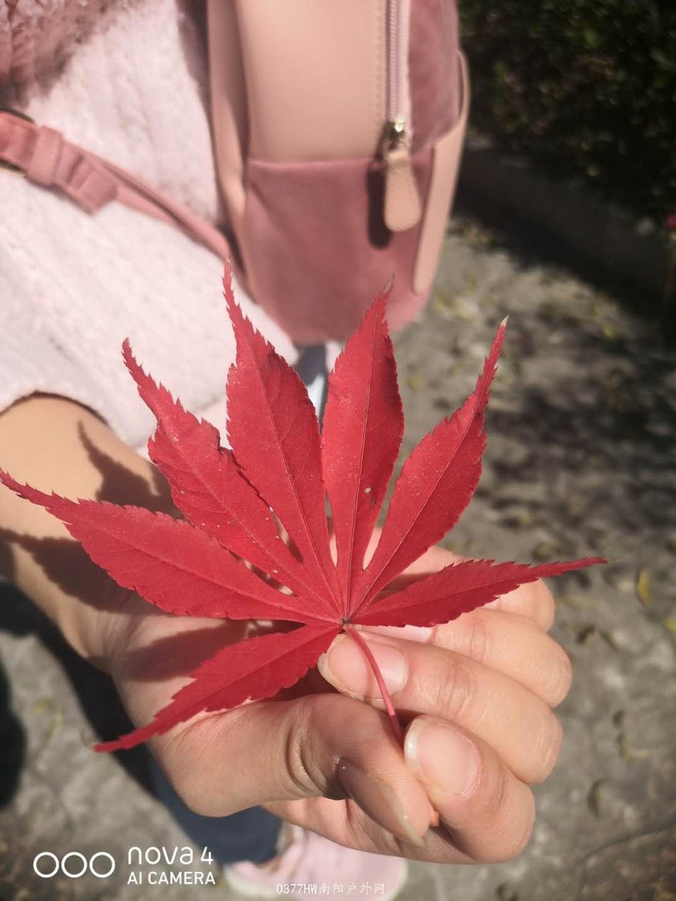 jckxZDaDwbb9z5KqRrUsrJK_nepuBhuDUq9xEeMQXO-utXxaQoSDBNl5F908rl07