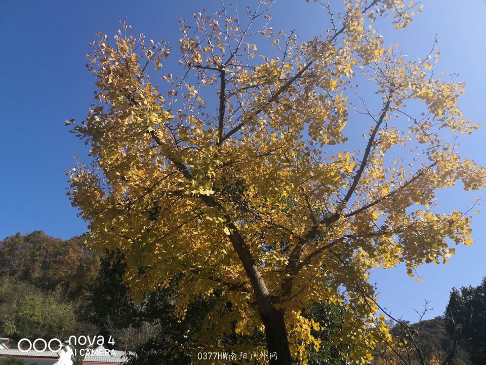 btcJKFkW1imRckdGjGlq1qSgrZzdLsVi84Ifean6ItIDGkplNmWI_0RrilZhoxzt