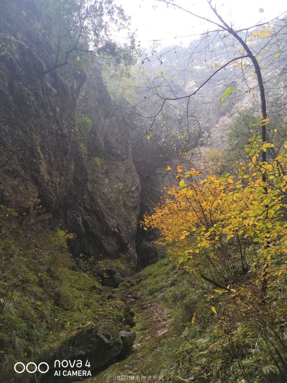 yXupWkdw437og_4IepUQkIMZ6R5k2qlGsMX3jTCMXdxajgS-x9HbZ4f0Fj1l68aE