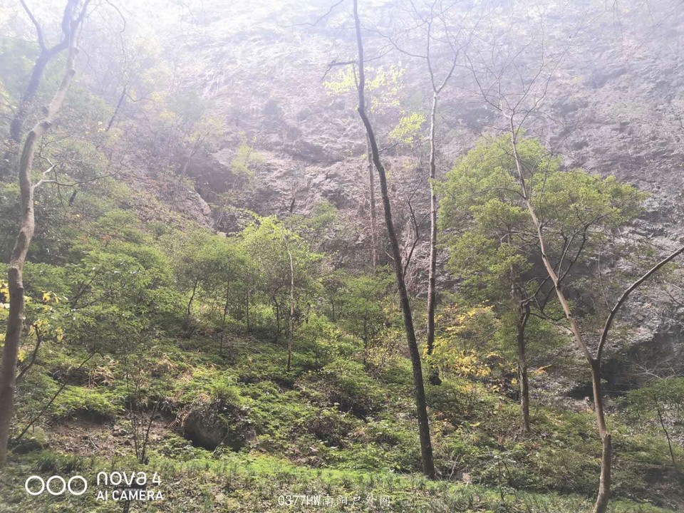 l4aK2crE5KoRjtPPmyKZzh9D2Qkh-dUFeXZx-Xk5wctwaJaehqI2ZmfT70rc4i3p