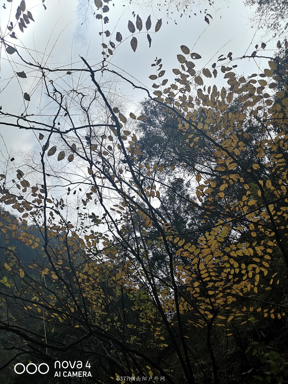 VvyEGiQFiwUnJdvrt_Xh55a-TarWGN7Na5h4-8cngFYdZXZuB-T-MKtv9PLhRN4b