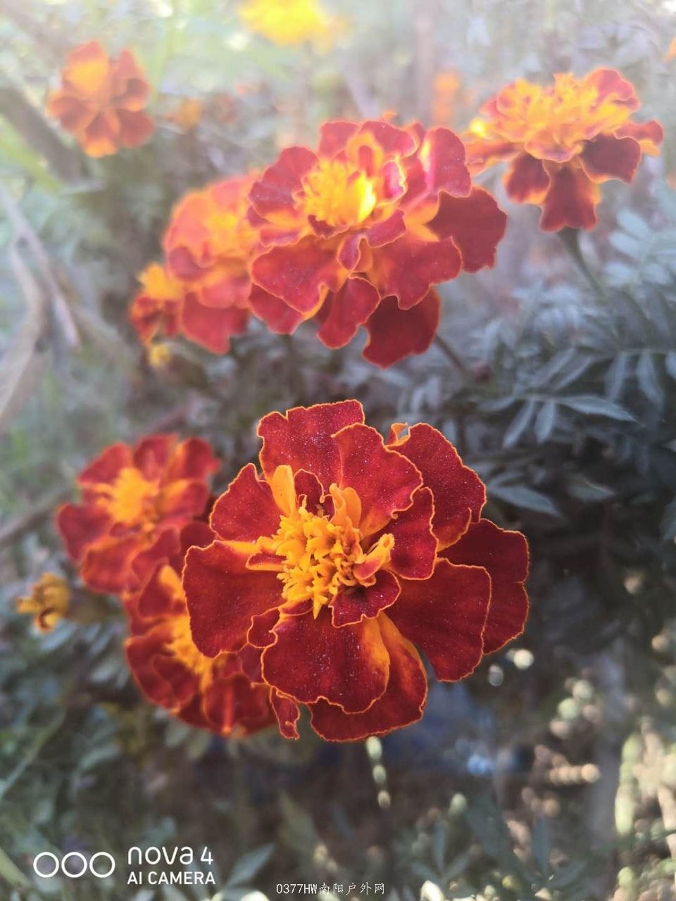 y6wM9VEMIIFH6jOcQ6cYESW-mPuYD8doIYCF09ghrCpTD2H5mO5qrK62IS2rQ_p8