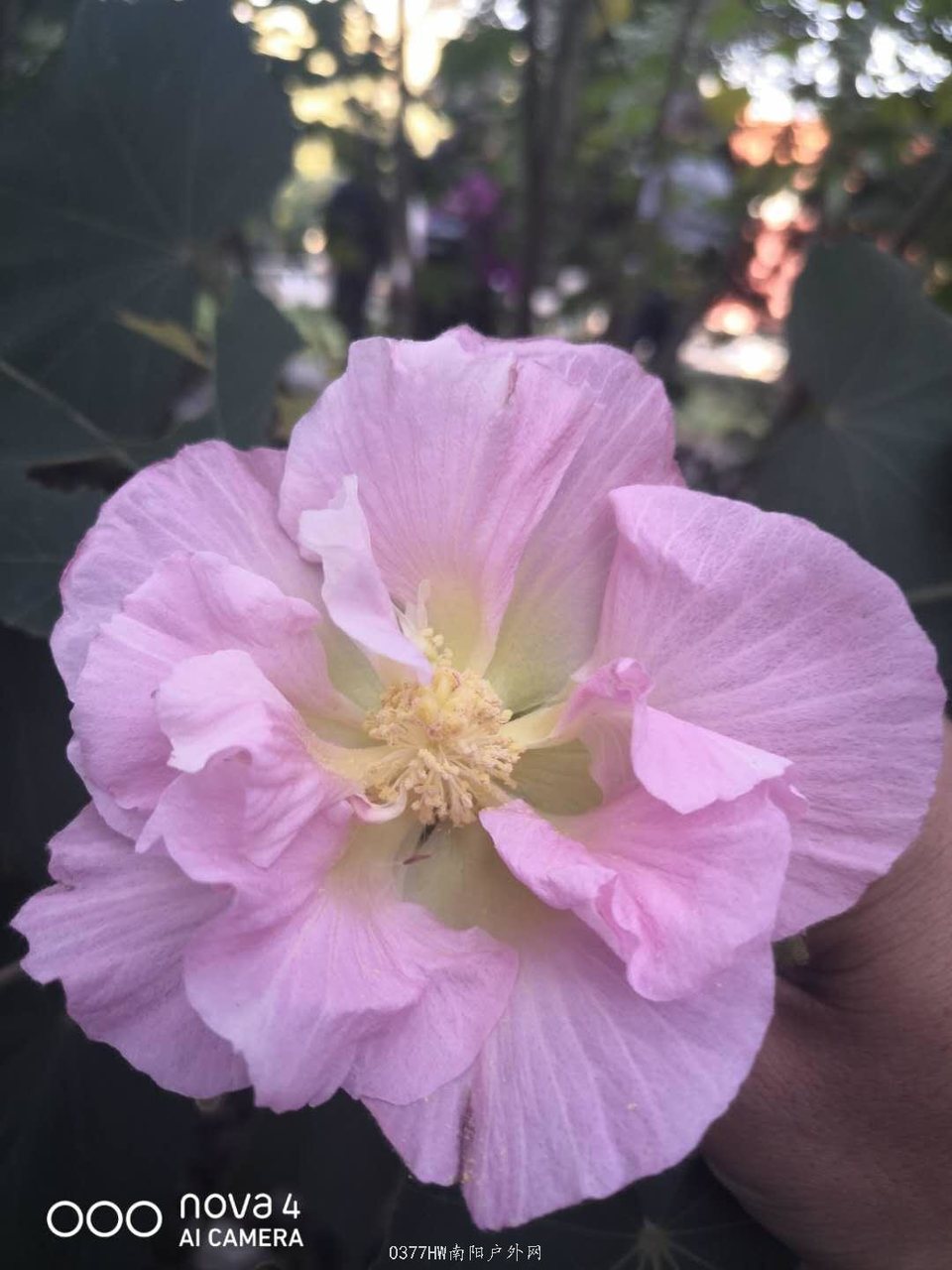 dkpj_4XfK7fzy6sxkx7EiSBuG6zhUfBE1lgmmUM-eQt4KCDzRFv4X7_7BKFu3aC1