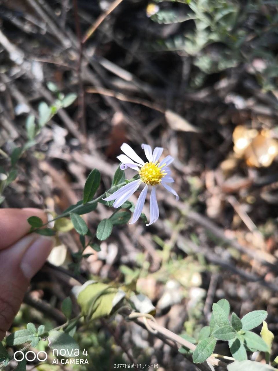 Kcnsm1bafhwORpgWr6Q66fbZx-8sg8TQvINORY37SZQ4ssMhCaJT5xxiv6GDDtKM