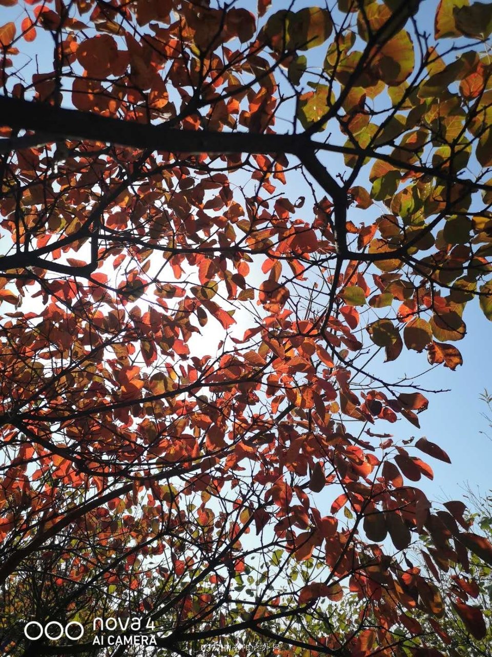 dxdnGgypHgoWHiFML5QPeLh0UujHzPBpUQGIxUDes7bMAs7N1PzmcH77lvWS8K3F