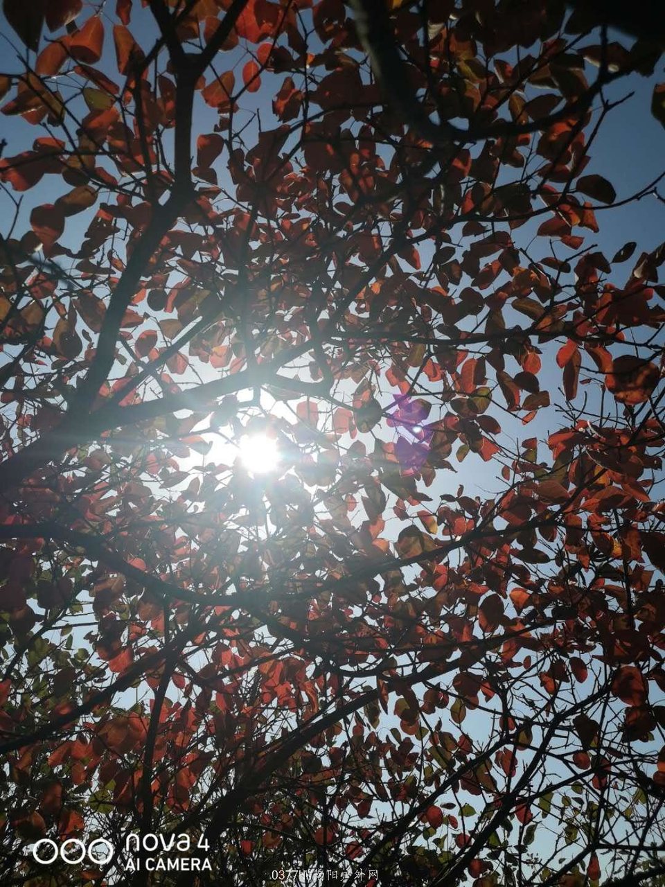 UNLxg-e-_rsSRdlrWCQXDuPKeug13GlR3MH0l1RZwVzo0Tj31VqjEBbWoZECW6he