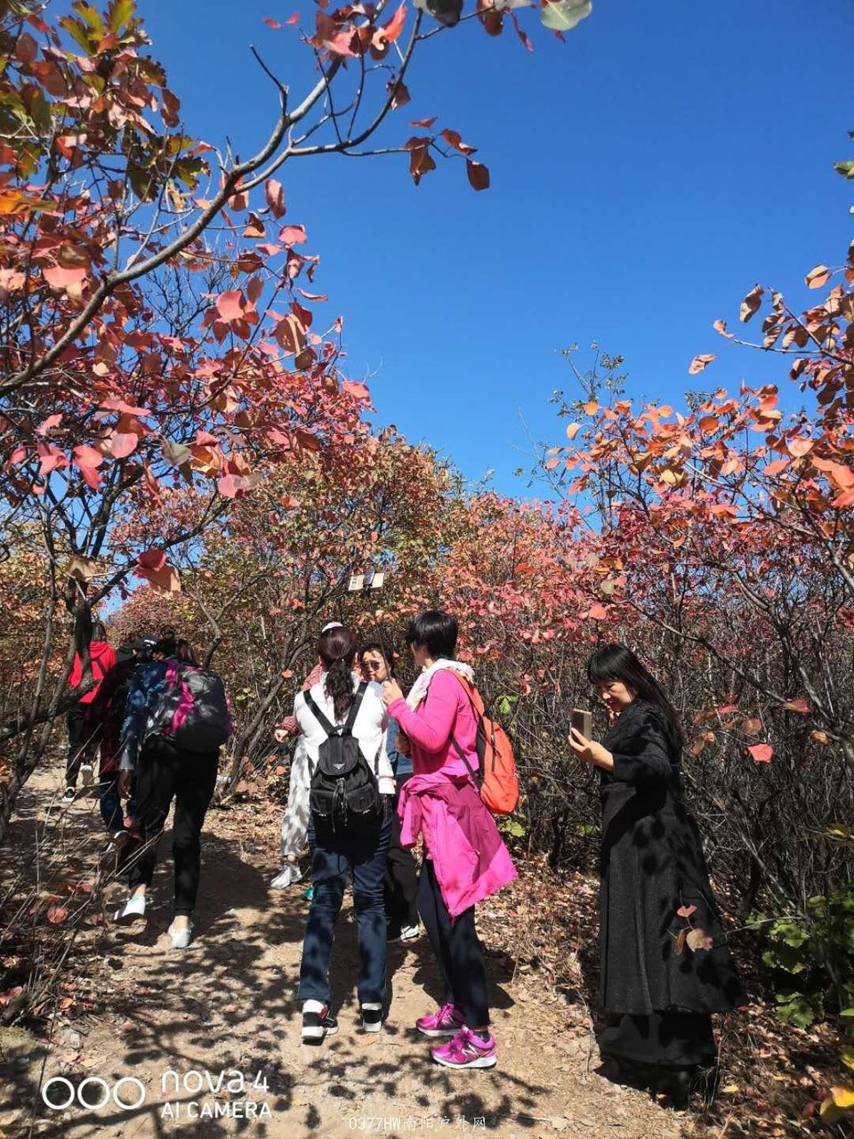 o3NS96EkYPTHnhmUmFexZBrY4n55WtJP-dH0Ph0lm_PWwkHts5dGkHuu3ytds2Vj