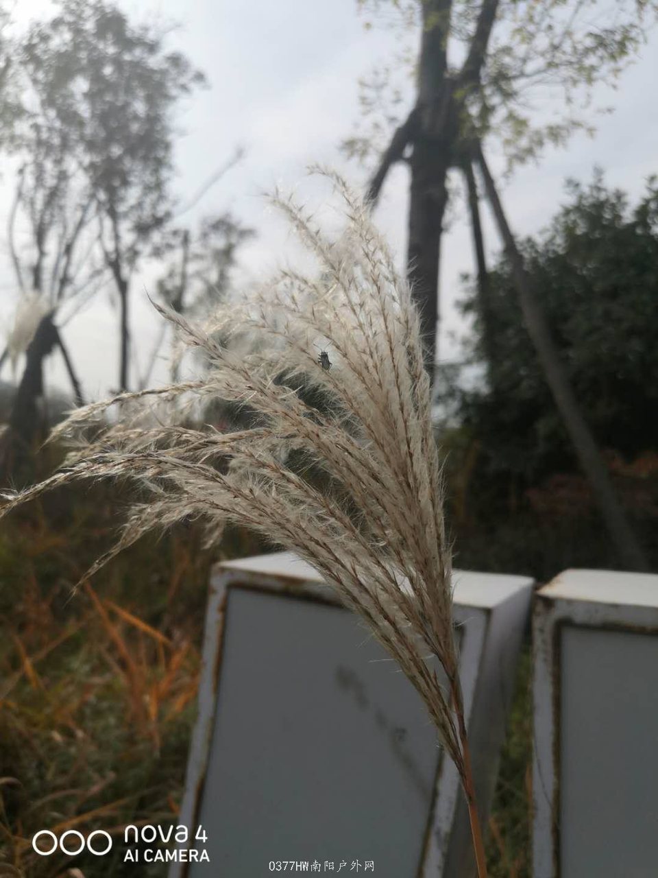 b_supGkCIYDG9DiodBWhYiq4E0blriRVnLz5LfhyiZ3Nz2jxBT7rtifPnL_6Sa_5