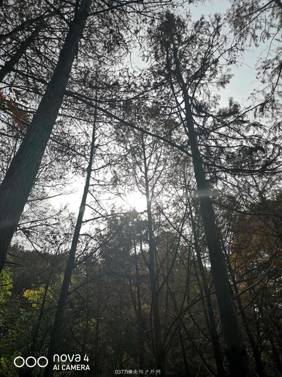 b2Ff16OcPQlpw-n3N00Zb5QwIHooi_ta7DPf-CsjiJ0s-4Il1NNMQGy9DgVgrcXa