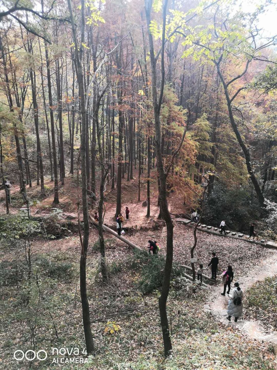 I0ALu9Wfh8fWHgrKh6q5DRg7EPL-NW1Ss55CSoZlmuUC4QqxG5UuRiX6Nj6tTsET