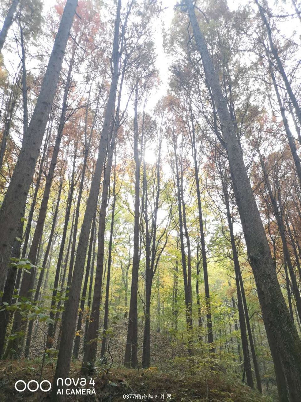 EF4X5F9DNoqHC9KJFhegAkAcitkCHDXeJEAy0nFkmZErYQJyXKQOjOth_rChqrg3