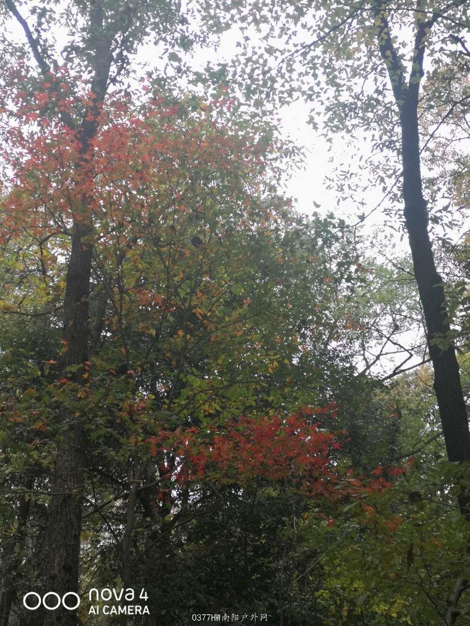 gfO-4fQOPzvK8Og50dhcHyC6SeDKSrvtqvfnridpYaRunI-2OCqkDcznX5qYFLr9