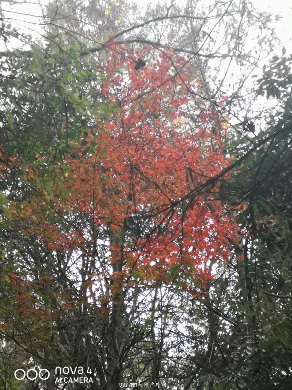 qD7YLhhQvXJi4LUDzypVOCyJV87uGZoG-7jkhq92afFD7uH1GZikx8cDVGTV-9nS