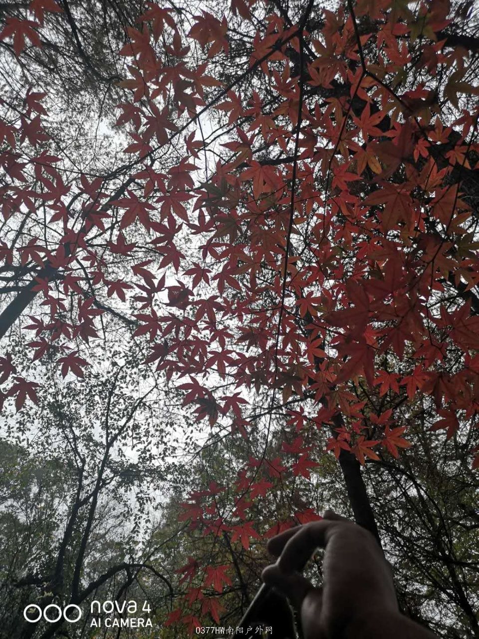 L78uIvYGqf_MfRfyfS5heCbuxPuZIqCJtvANRIIURw5Zu51hYBdi0ZV8dctKbk-n