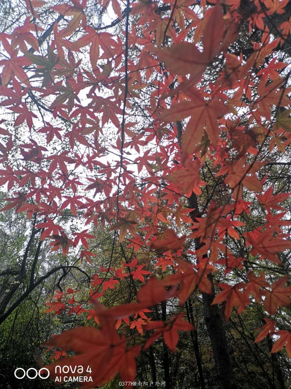 GRZmMptJYC17dSRcxZ4BXfY4whBIQqUU9jHLYgnzyW2rjkEwwxuua_eZOoi7t5hD