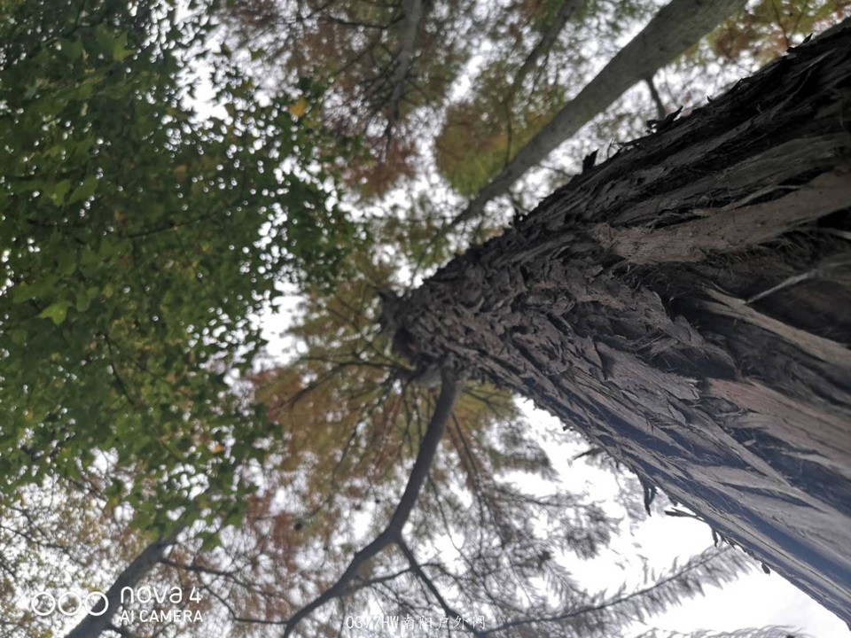 yAruItLtDmJPvrkfrmn5QwGxCFBMPb4F2Qcx-I8Z7Htdkrk6nWjcQ_gWvJECljJ7