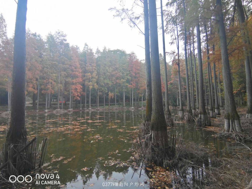 F7bbb6guWi5rEfPx6A2QjI1GITsL7jEcm_tlEE7d0zENxXdYy-bzGl5Khy7Mgsi_