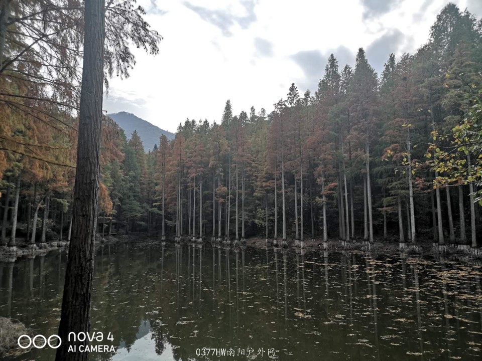 ZEPmqFOtEl9g68AgFA6HLOpgksCe3jK4WoXFpOoYYH_Q9cPyFsYuvml6DDLrDJi8