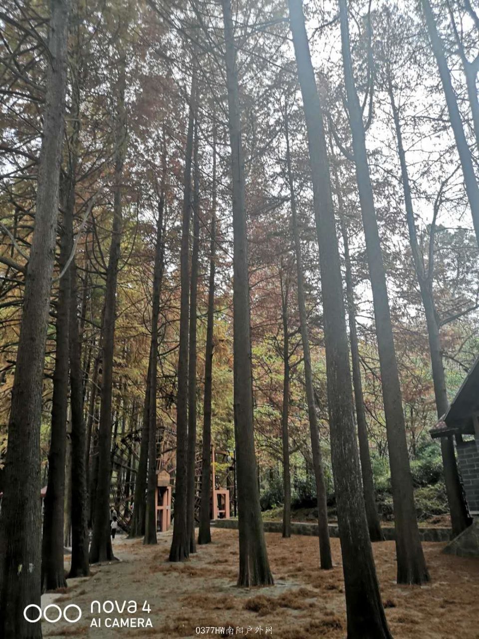 5SCFZl1k0a7iifzcHNF8sGfwTxrUT0qvlzKCa9JfuRk9S_5zOccL50Uko0sZLEMO