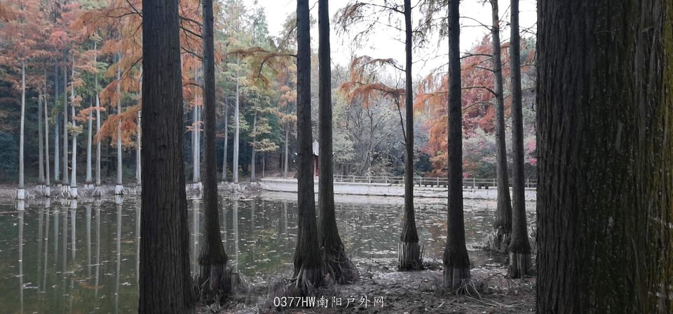 q2gU1tOQDmqgRRCH_6Gmz271PDX6NHwMGbfy-oG-FSjVSTcawSGJU0DGhnMZgimR